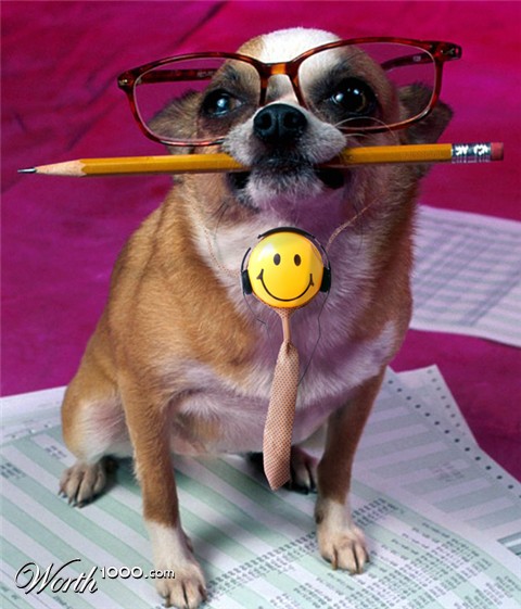 Photoshop Design by ACP511