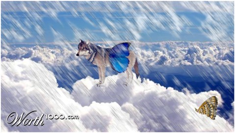Photoshop Design by Chemikal
