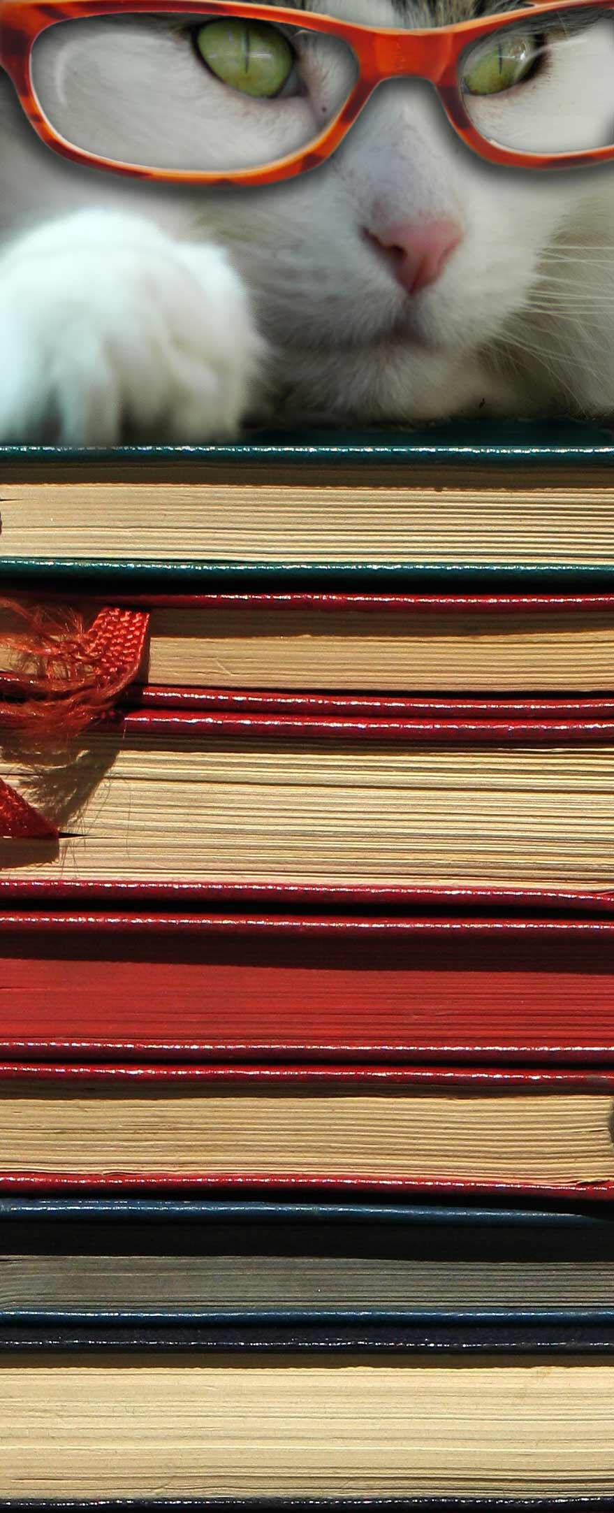 Photoshop Design by frogfreak99 for DesignCrowd (Community Contests) | Design #9004957