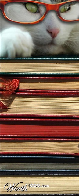 Photoshop Design by frogfreak99