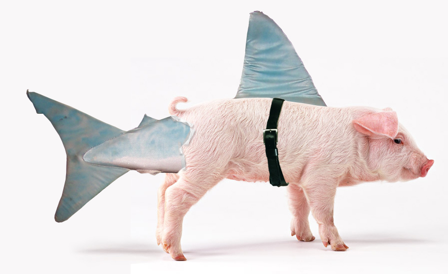 Design Photoshop par pinguking pour DesignCrowd (Community Contests) | Design #9008182