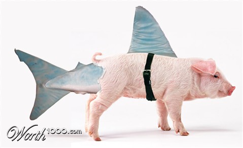 Photoshop Design by pinguking