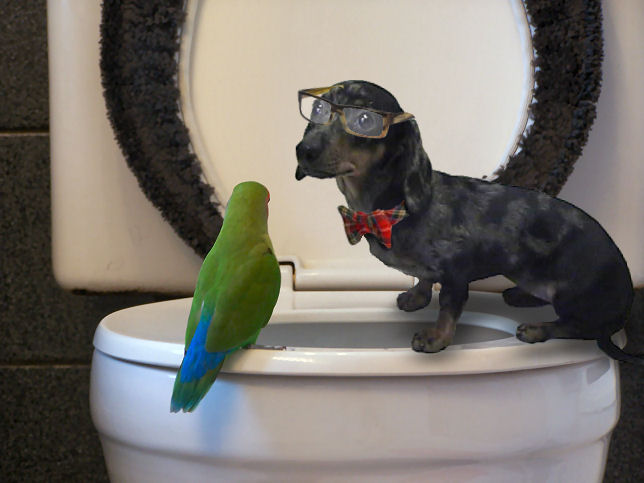 Photoshop-Design von Irrwitzer für DesignCrowd (Community Contests) | Design #9004926