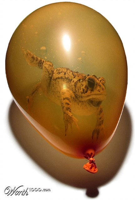 Photoshop Design by mjhaylor