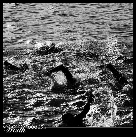 Photography by chatwin68
