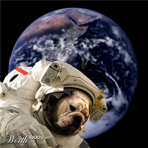 Photoshop Design by Artifakts