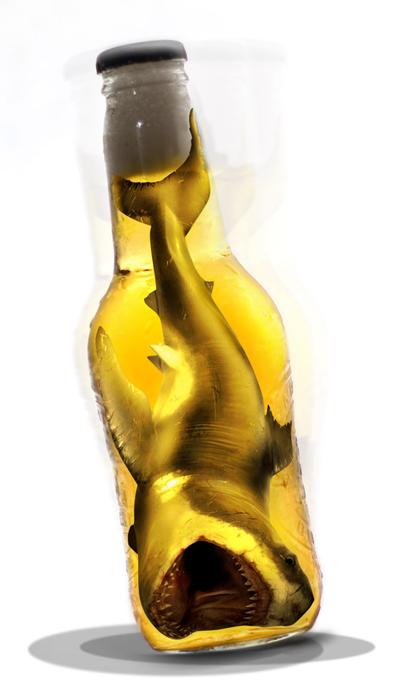 Photoshop Design by bertdesign for DesignCrowd (Community Contests) | Design #9011645