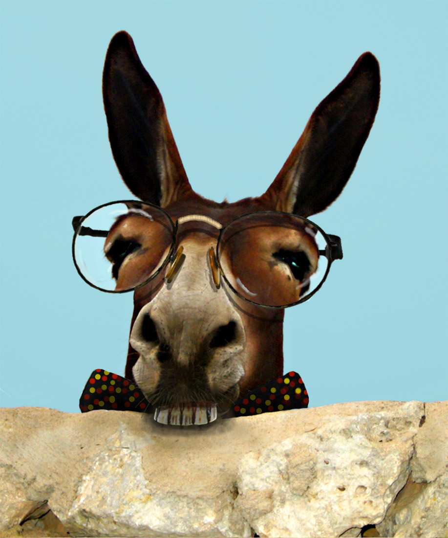 Design Photoshop par Lacenflanl pour DesignCrowd (Community Contests) | Design #9004992