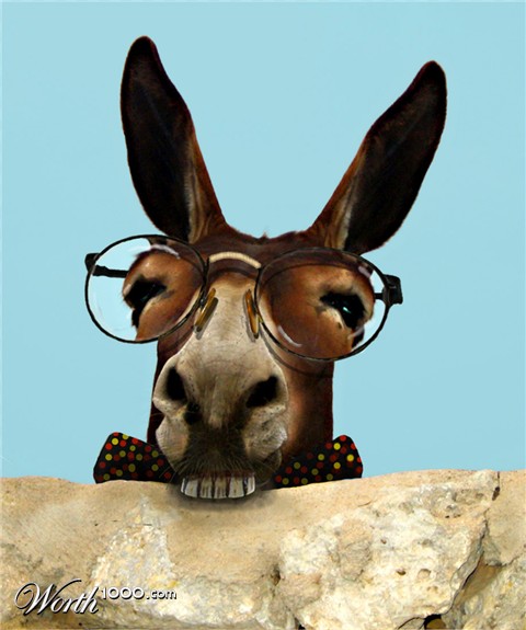 Photoshop Design by Lacenflanl