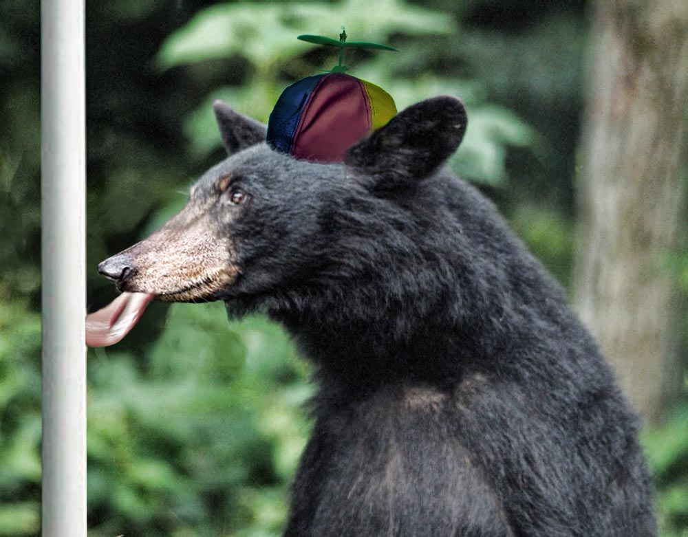 Photoshop Design by stringcheese for DesignCrowd (Community Contests) | Design #9004999