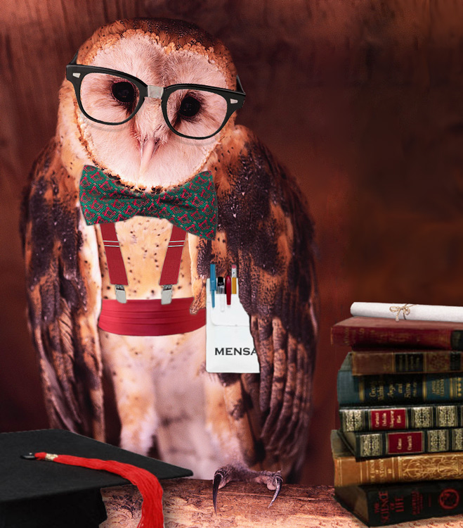 Photoshop Design by CherryPicn for DesignCrowd (Community Contests) | Design #9004995