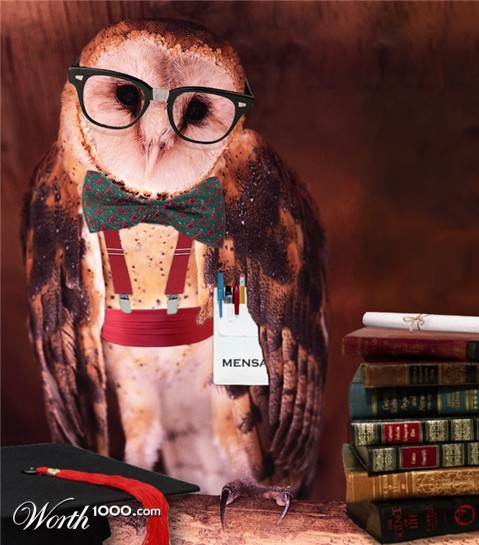 Photoshop Design by CherryPicn