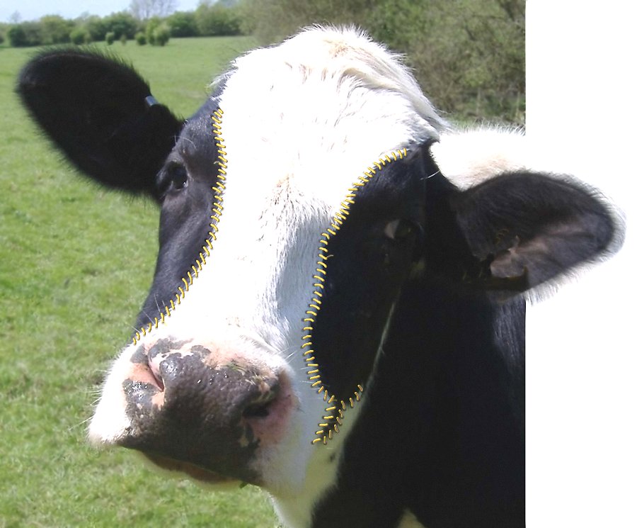 Photoshop Design by JClark8220 for DesignCrowd (Community Contests) | Design #9010669