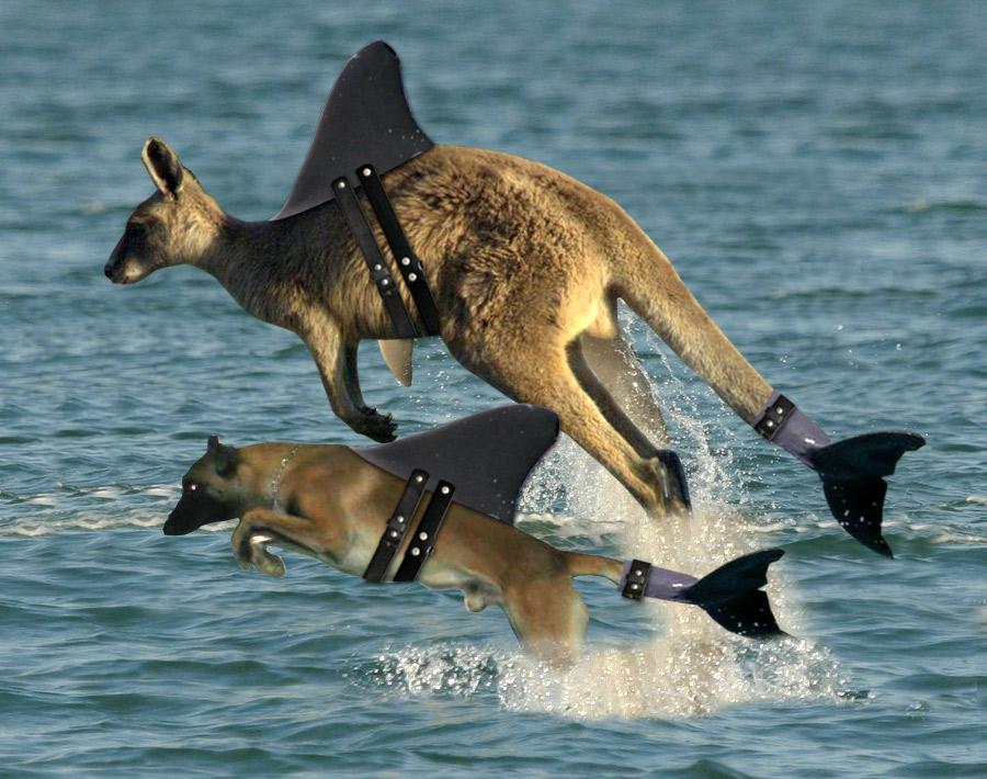 Photoshop Design by pdoggdizzle for DesignCrowd (Community Contests) | Design #9008207