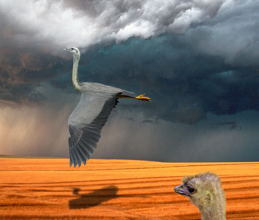 Diseño de Photoshop por underworth para DesignCrowd (Community Contests) | Diseño #9008275