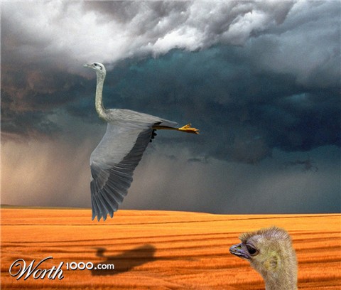 Photoshop Design by underworth