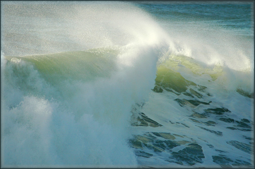 Photography by Larvice for DesignCrowd (Community Contests) | Design #9003844