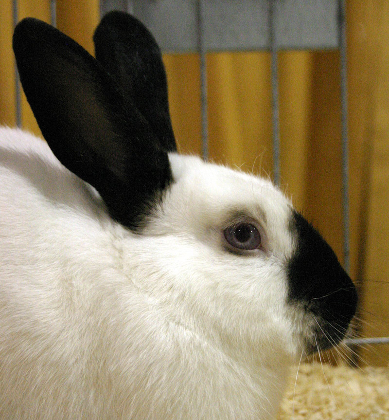 Photography by rdchdwck for DesignCrowd (Community Contests) | Design #9006347