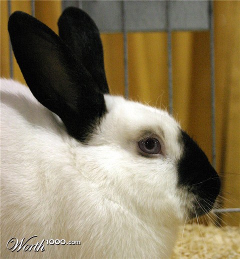 Photography by rdchdwck