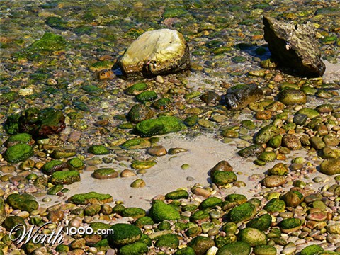 Photography by alicina