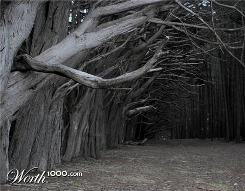 Photography by bpowell