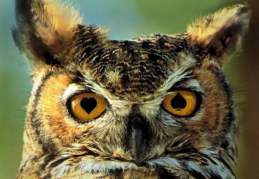 Photoshop Design by RikkieZ for DesignCrowd (Community Contests) | Design #9009380