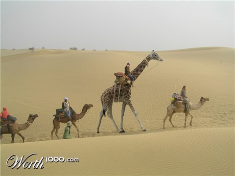 Photoshop Design by MataleoneRJ