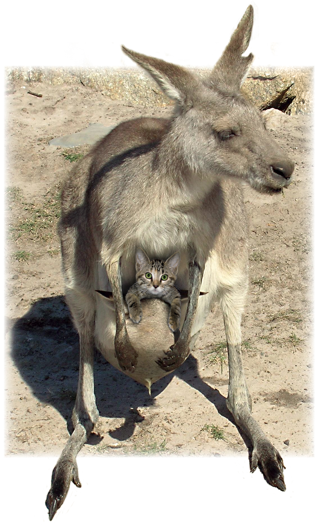 Photoshop Design by mzpresto for DesignCrowd (Community Contests) | Design #9008294