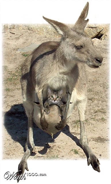 Photoshop Design by mzpresto