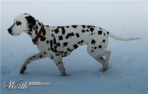 Photoshop Design by Skriket