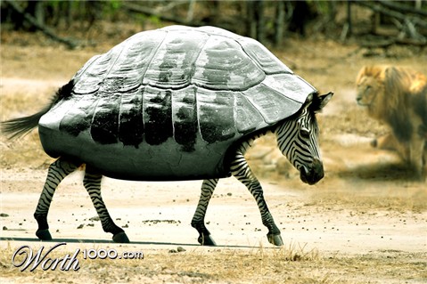 Photoshop Design by fooentes