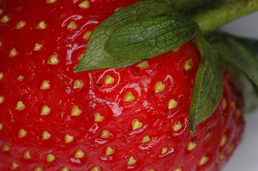 Diseño de Photoshop por Ausgixxer para DesignCrowd (Community Contests) | Diseño #9009451