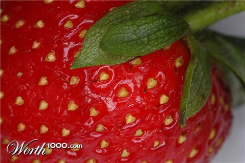 Photoshop Design by Ausgixxer