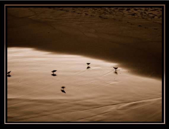 Photography by ThisisntGraham for DesignCrowd (Community Contests) | Design #9003856