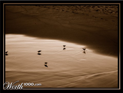 Photography by ThisisntGraham