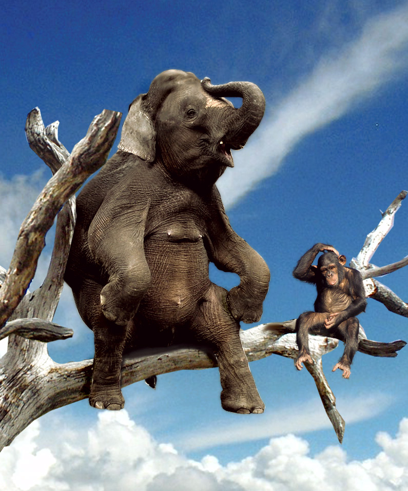 Diseño de Photoshop por Mandrak para DesignCrowd (Community Contests) | Diseño #9008323