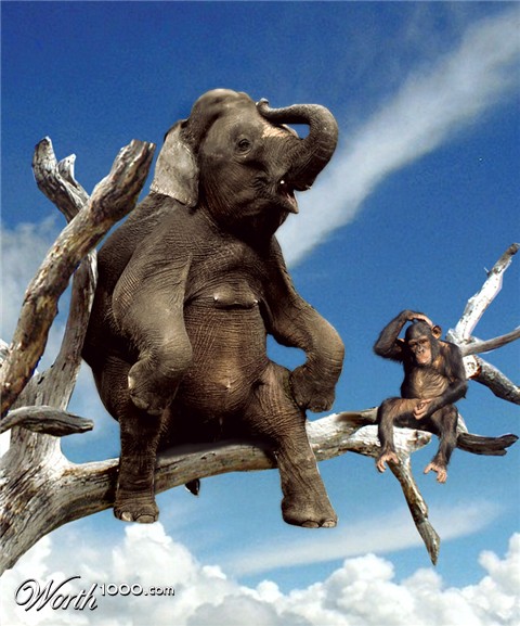 Photoshop Design by Mandrak