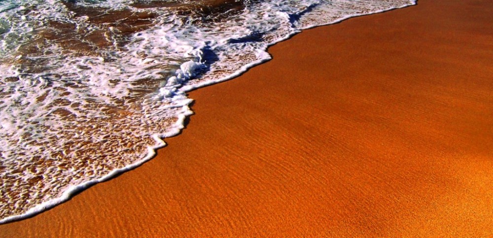 Photography by crattay21cuc for DesignCrowd (Community Contests) | Design #9003821