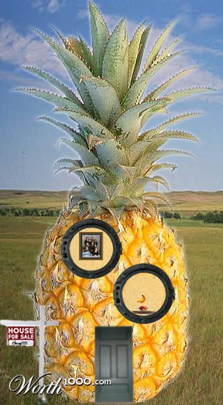 Photoshop Design by noahhhh