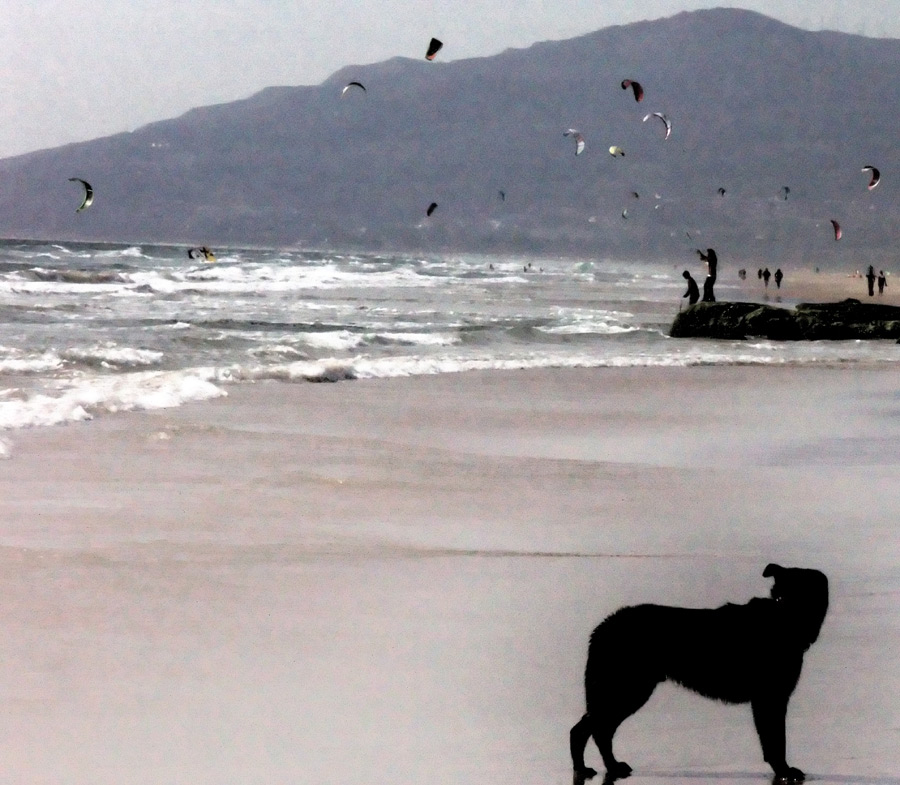 Photography by AsierReisa for DesignCrowd (Community Contests) | Design #9003799