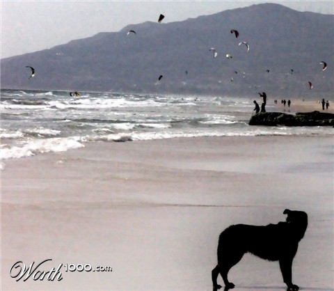 Photography by AsierReisa