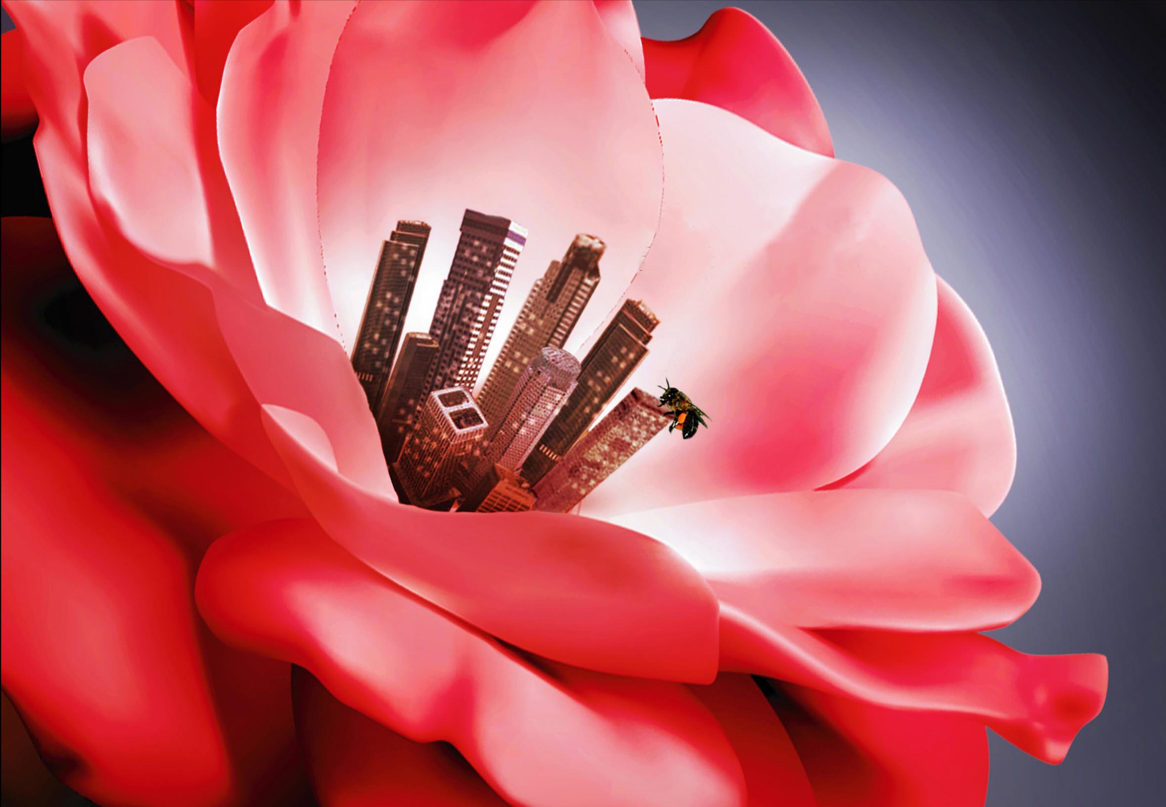 Diseño de Photoshop por rayavarapuadi para DesignCrowd (Community Contests) | Diseño #9003428