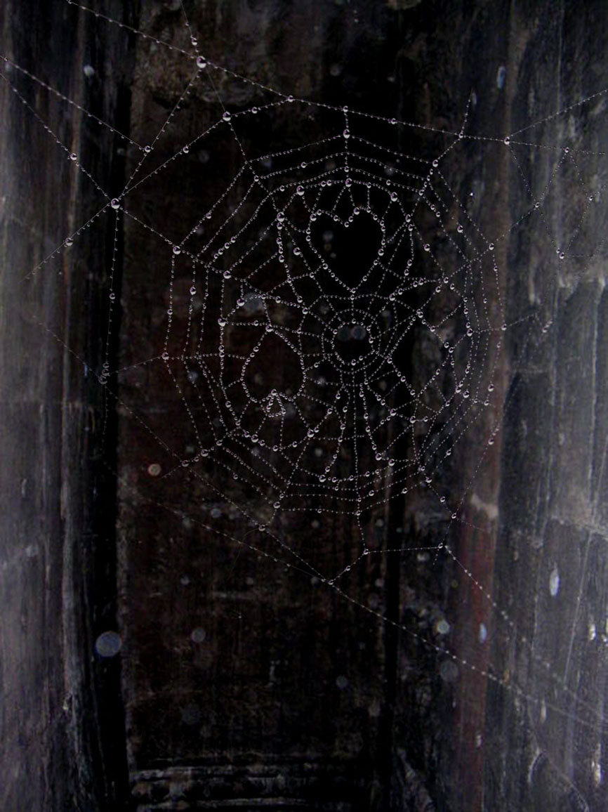 Diseño de Photoshop por psooop para DesignCrowd (Community Contests) | Diseño #9009474