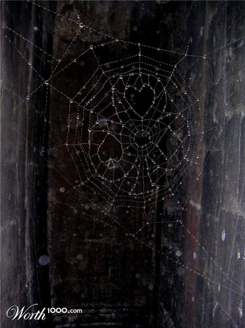 Photoshop Design by psooop