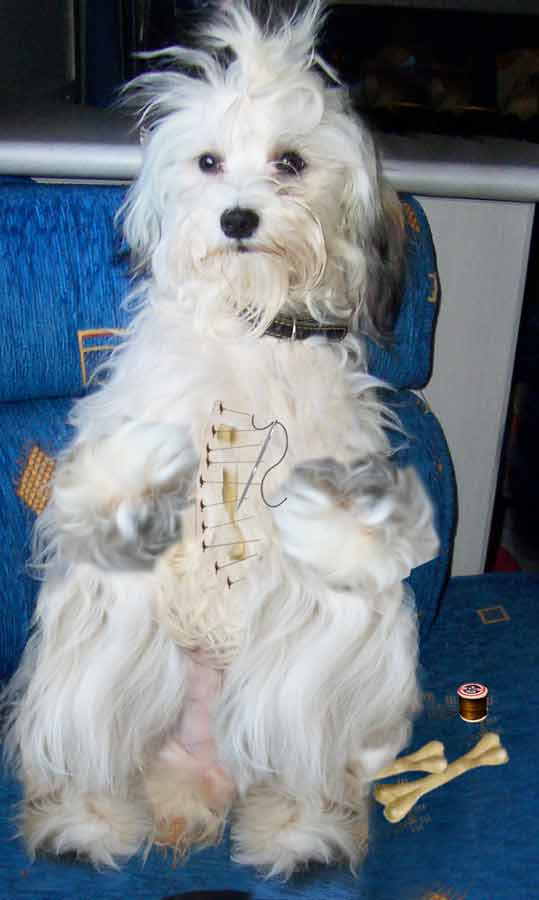 Photoshop Design by potters for DesignCrowd (Community Contests) | Design #9010762