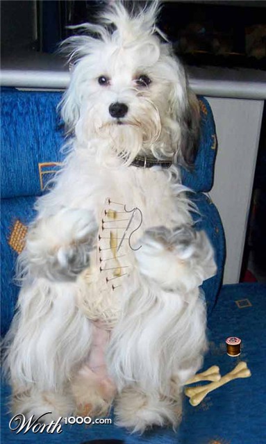 Photoshop Design by potters