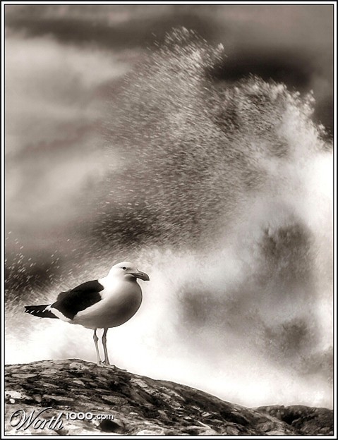 Photography by Juicer