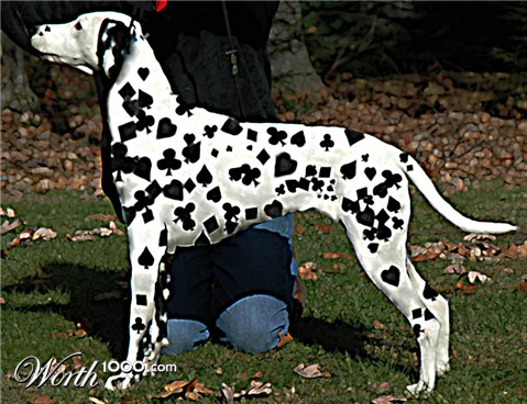 Photoshop Design by Livett