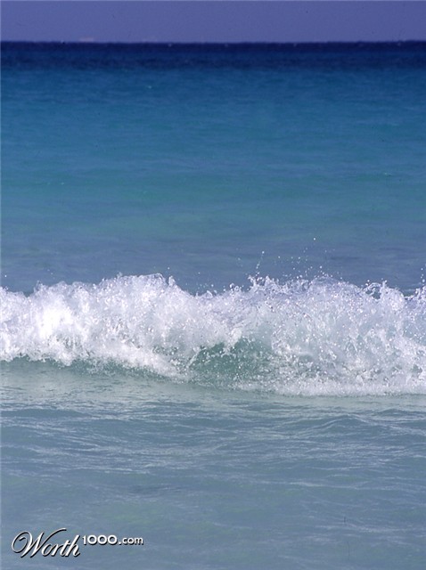 Photography by taranoella