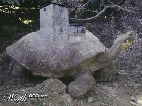 Photoshop Design by nicolaslopezg